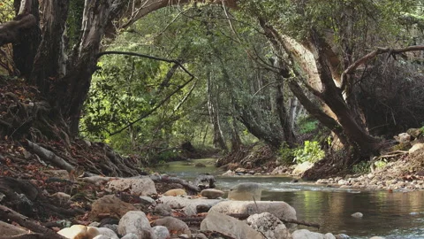 River Stock Footage 138233829