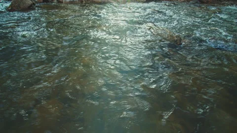 River Stock Footage 138235731