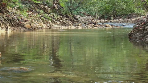 River Stock Footage 138236573