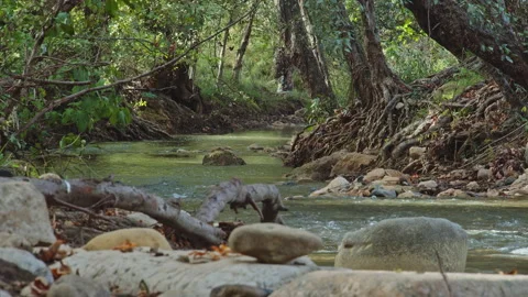 River Stock Footage 138236943