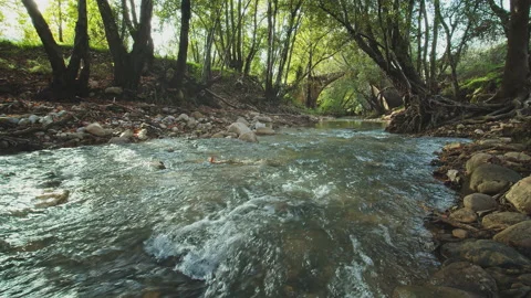 River Stock Footage 138239314