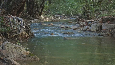 River Видео 138241589