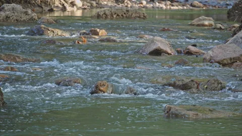 River Stock Footage 138243162