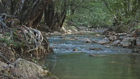 River Stock Footage 138244778