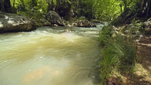 River Stock Footage 139247160