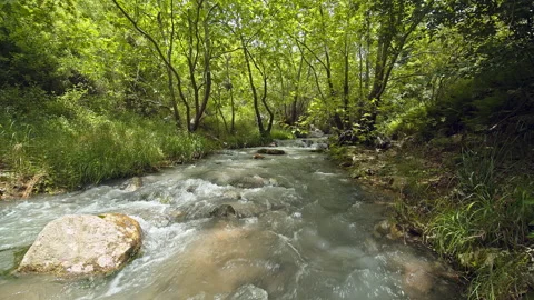 River Stock Footage 139257383
