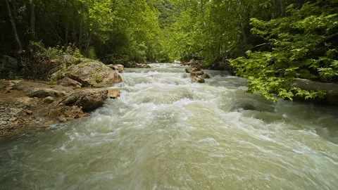 River Stock Footage 139283225