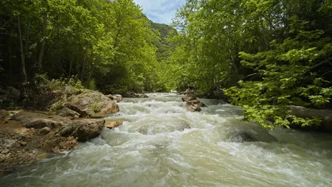River Stock Footage 139286929