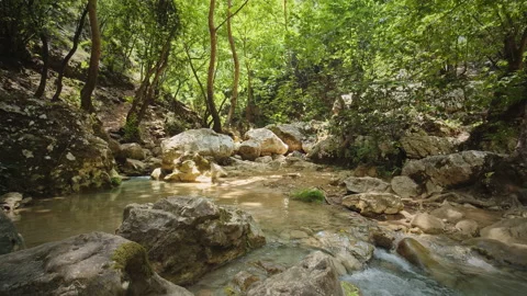 River Stock Footage 144675136
