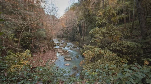 River Stock Footage 145112177