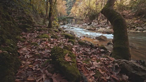 River Stock Footage 145187245