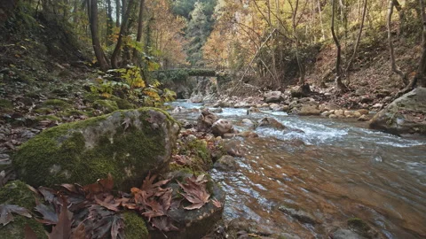 River Stock Footage 145193144