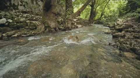 River Stock Footage 150657373