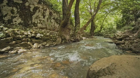 River Stock Footage 150659346