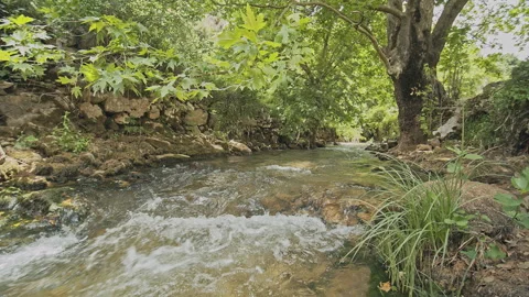River Stock Footage 150665423