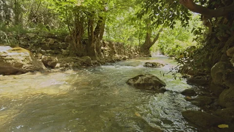 River Stock Footage 150666752