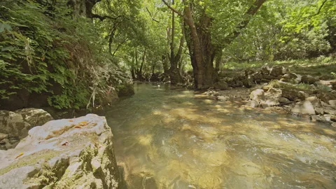 River Stock Footage 150667312