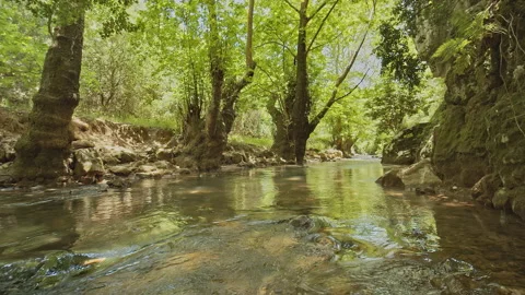 River Stock Footage 150668571