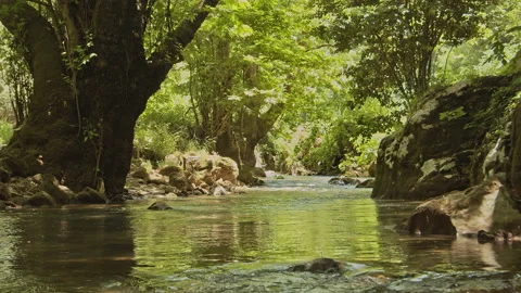 River Stock Footage 150669046