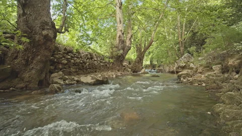 River Stock Footage 150679370