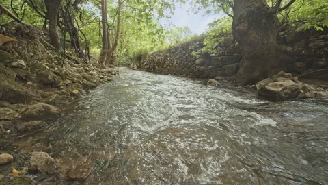 River Stock Footage 150681364
