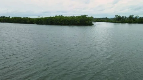 River Vidéo 151999984