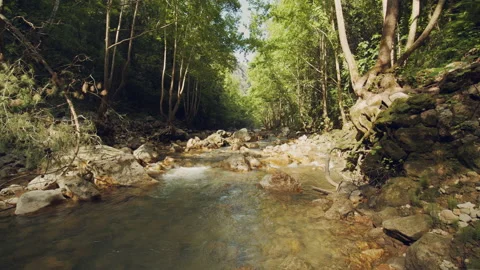 River Stock Footage 155985683