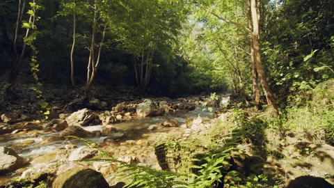 River Stock Footage 156006156