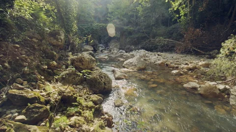 River Stock Footage 156059857