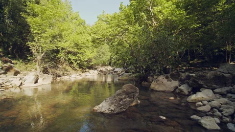 River Stock Footage 156060901