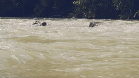 River Stock Footage 156516455