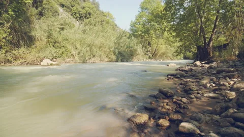 River Stock Footage 156519088