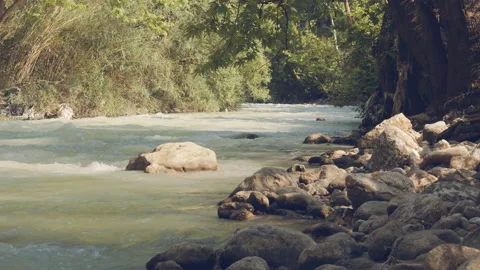 River Stock Footage 156519862