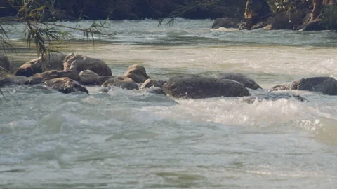 River Stock Footage 156535551