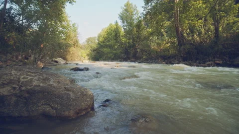 River Stock Footage 156539420