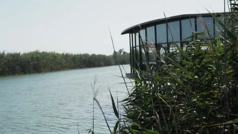 River 스톡 동영상 157130014