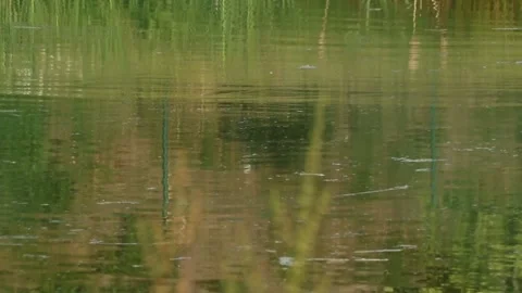 River 库存影片 158016475