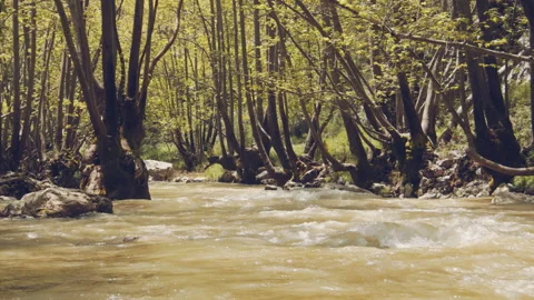 River Stock Footage 158641896