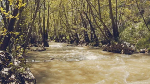 River Stock Footage 158646096