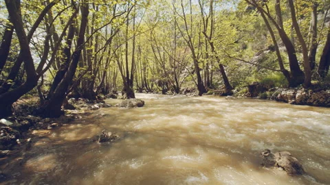 River Stock Footage 158648386