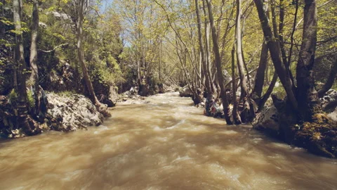 River Stock Footage 158668185