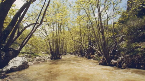 River Stock Footage 158670842