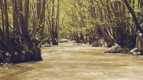 River Stock Footage 158672166