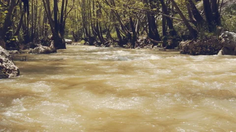 River Stock Footage 158673263