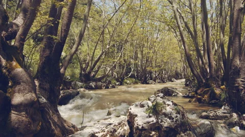 River Stock Footage 158676729