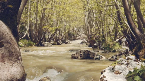 River Stock Footage 158708108