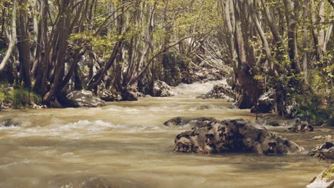 River Stock Footage 158709379