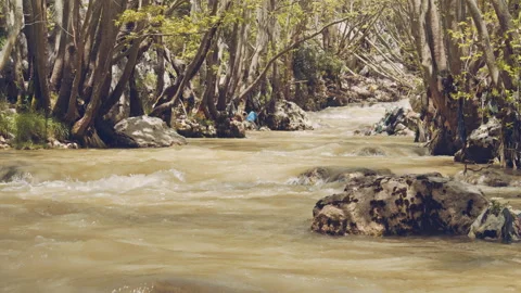 River Stock Footage 158710423