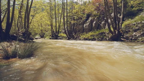 River Stock Footage 158710980
