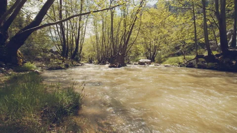 River Stock Footage 158711558